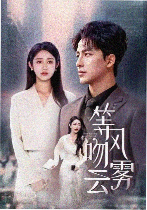 黑土无言 电视剧海报